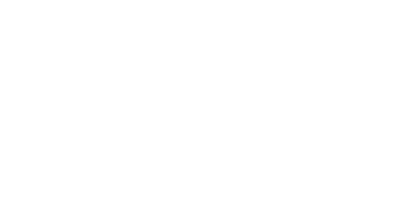 Rapido